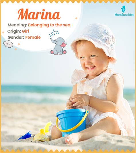marina.gov|marina meaning.